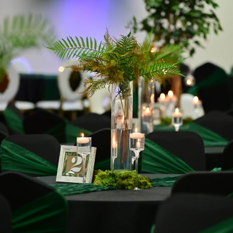 Dream Hire & Deco